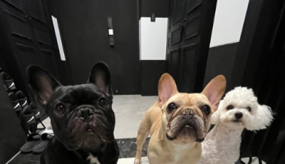 살아오면서  가장 잘 샀다고 느껴지는 가전제품